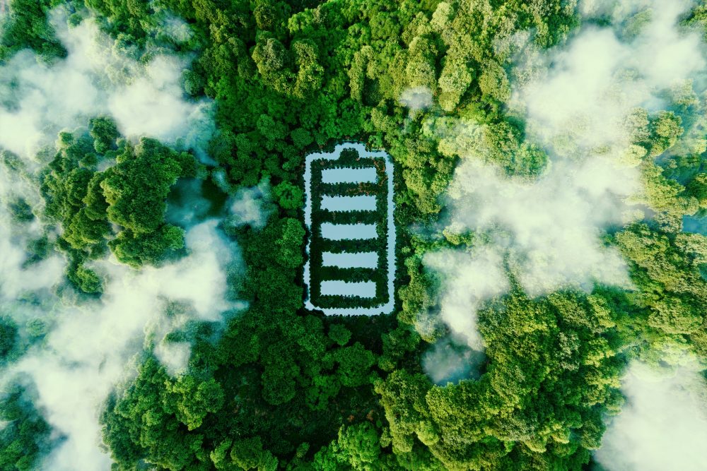 Silhoutte einer Batterie inmitten von einem grünen Wald